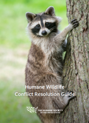 Wildlife Humane Wildlife Conflict Guide
