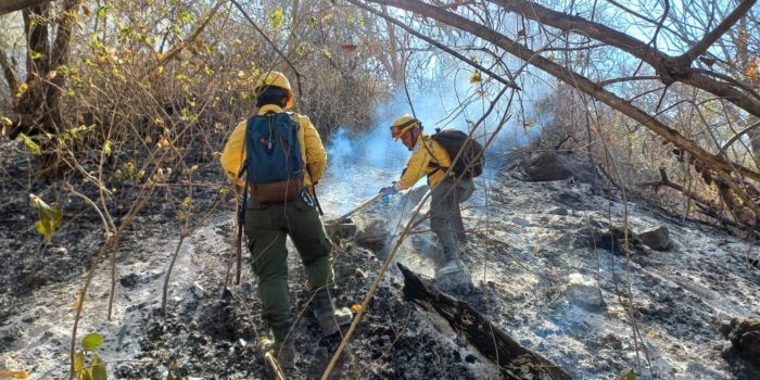 Incendios forestales