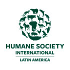 Logo HSI Latinoamérica