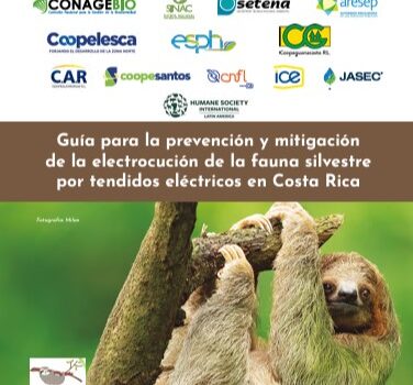 Guía de electrocución 2023