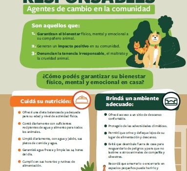 Ficha Tutores responsables